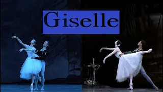 BALLET STARS №2  Giselle Act II pas de deux (The Royal Ballet  & The Bolshoi Theatre )