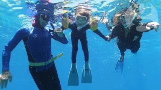 Naomi Klein at the Great Barrier Reef: what have we left for our children?