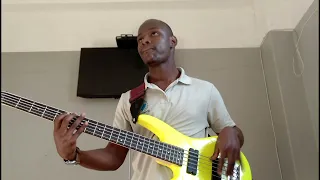 Sankomota - Now or never (Bass Cover)