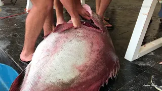 2018 Crosthwait Weigh In - Jumbo Shrimp - 215-pound warsaw grouper, swordfish