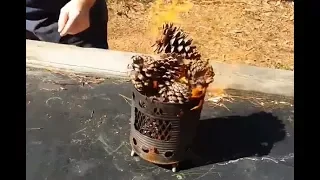 Pine Cones For Tinder? Seems an obvious yes, aaand I learned something.
