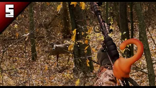 First chance at a Quality Michigan Buck!  -Deer Season 2022