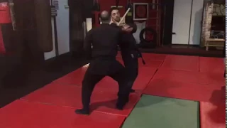 Jojutsu & Hicho no Kamae