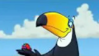 Toco Toucan