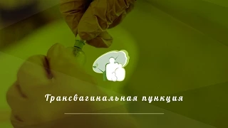 Трансвагинальная пункция