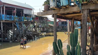 Boat Trip to Kampong Khleang Floating Village and Tonle Sap Lake 🇰🇭 Siem Reap, Cambodia 2023