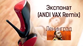 Ленинград - Экспонат (ANDI VAX Remix) 18+