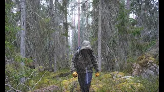 Solo Camping and Bushcraft in the Wilderness