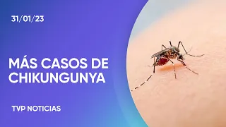 Alerta por casos de chikungunya