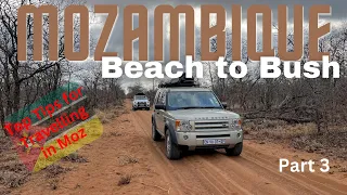 Mozambique Paradise: Part 3 Leaving the beach for the bush via Giriyondo and Kruger to Marloth Park