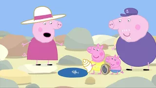 Peppa Pig Nederlands Compilatie Nieuwe Afleveringen | De Tijdcapsule | Tekenfilm | Peppa de Big