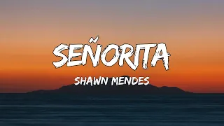 Shawn Mendes & Camila Cabello - Señorita (Lyrics)