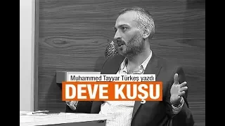 Muhammed Tayyar Türkeş : Deve kuşu... Sesli Makale