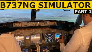 1 - Learning how to fly the Boeing 737-800 - Pilot Alexander ✈️ 💫