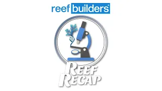 Join the Community Science Project - Reef Recap w/Salem Clemens