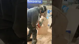 Chainsaw Carved Horse Head Timelapse