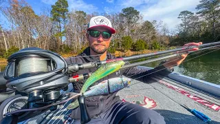 Which Big Swimbait Should You Throw?