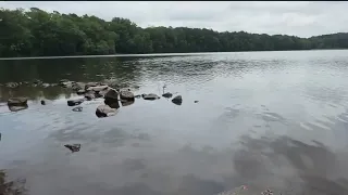 Dangerous algae bloom on Lake Peachtree | FOX 5 News