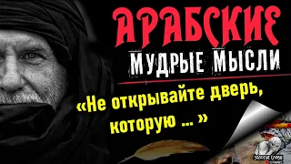 ТОП Мудрых Арабских Пословиц и Афоризмов, от которых Мурашки по Коже  Цитаты, Афоризмы, Мудрые