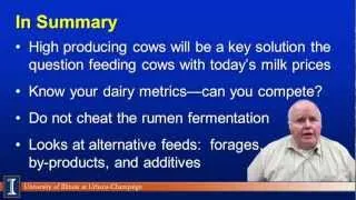 Feeding Strategies with Today's Feed and Milk Prices