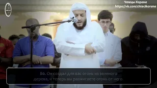 Хани ар-Рифаи - Сура 36 "Йа Син", аяты (77-83)