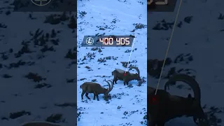 Kyrgyzstan Mid-Asian Ibex! Perfect Shot Placement!?