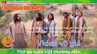 LỜI CHÚA và CẦU NGUYỆN - Thứ ba tuần VIII Mùa thường niên 28/05/2024