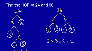 HCF LCM mathscasts