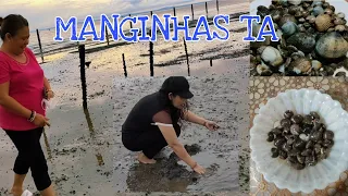 Manginhas ta 😆. SEASHELLS PICKING, Punta Taytay, Bacolod City, Negros Occidental