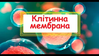 Мембрани еукаріотичних клітин