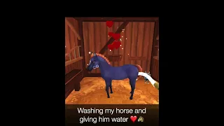 Washing and watering my horse in Star Stable! ❤️🐴