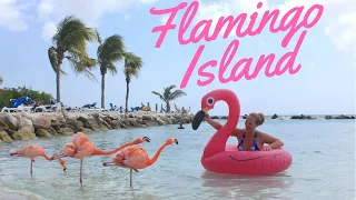 Swimming With Flamingos in Aruba - Visiting Renaissance Island Resort