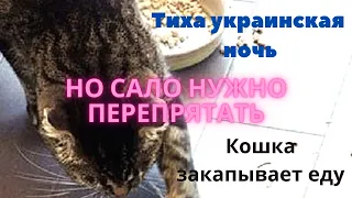 Тиха Украинская ночь... но сало нужно перепрятать...Кошка закапывает еду.