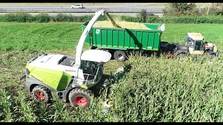 Maishäckseln 2021 LU Krumm mit Claas Jaguar 970 10 Reihen, JCB Kröger, Fendt 516, Deutz  Teil 2 [4K]