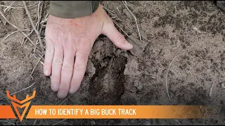 How to Identify a BIG Buck Track | S1E05 | Wired To Hunt