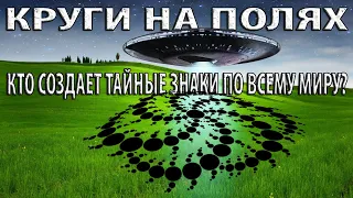 КРУГИ НА ПОЛЯХ: КТО или ЧТО создает таинственные знаки на полях по всему миру? СТРИМ