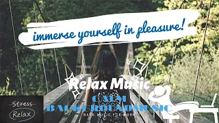 Music For Morning And Good Mood Relaxation Music Meditation (Background Music Morning Relax)