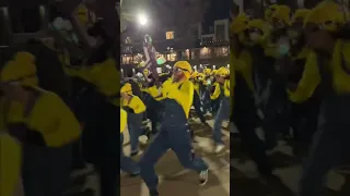 100 Minions Sabotage My Brothers Date