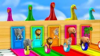 5 Giant Ducks Lion Elephant Tiger Gorilla T-Rex Bear Guess The Right Door ESCAPE ROOM CHALLENGE Game