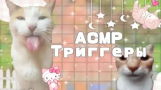 {🐈‍⬛АСМР|НУЛС🐈‍⬛} Асмр триггеры