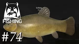 Russian Fishing 4 #74 | Auf Schleie an der alten Festung | Deutsch / German