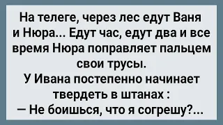 Как Ваня и Нюра На Телеге Через Лес Ехали! Сборник Свежих Анекдотов! Юмор!