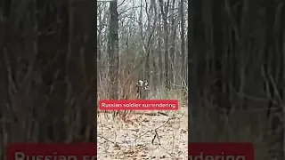 A Russian soldier surrendering as he’s caught hidden in the forest #Ukraine #UkraineRussiaWar