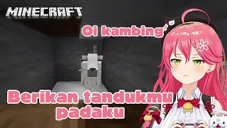 MIKO DISERUDUK KAMBING!! [Sakura Miko] (Sub Indo)