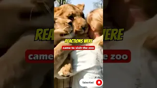 Lions hug woman after years of being separated 💔  #shorts