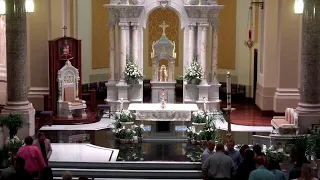 Easter Sunday The Resurrection of the Lord | Bishop Carl A. Kemme | Cathedral of the Immaculate C…