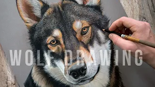 REALISTIC WOLF DRAWING - Animal Art | Colour Pastel Technique