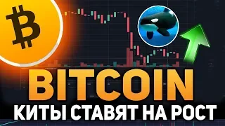 Биткоин Киты Ставят на Рост в Ноябре 2018 Прогноз