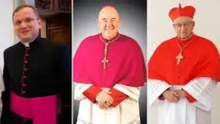 Diferencia entre: cardenal, obispo, canónigo, presbítero, diácono, párroco, vicario, clero secular…