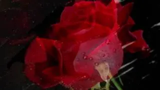 LeAnn Rimes - The Rose